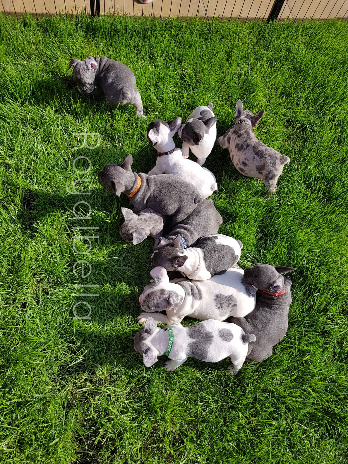First time on the grass